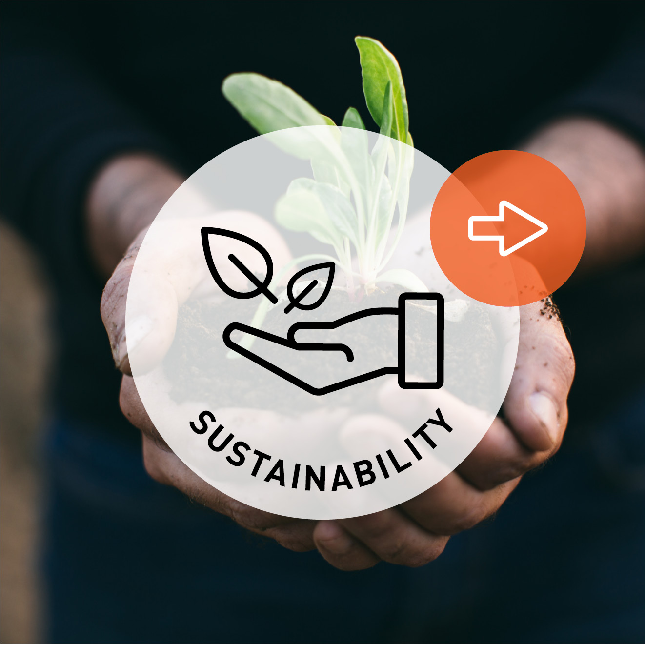 Sustainability